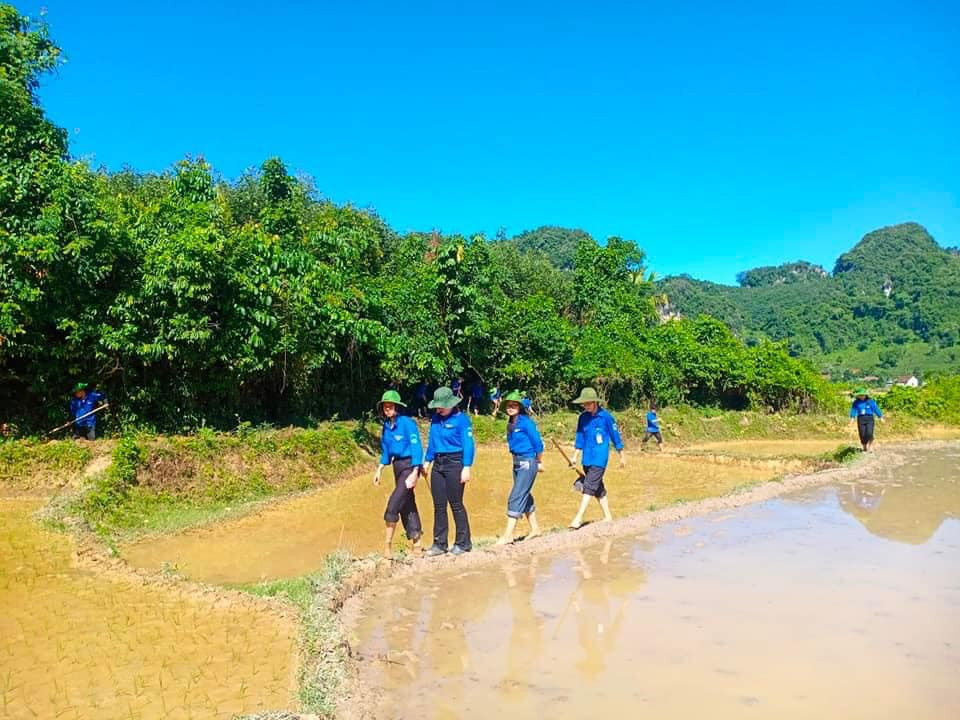 Sau khi khảo sát các gia đình có hoàn cảnh khó khăn, gia đình neo người, gia đình chính sách cần hỗ trợ cấy lúa, các đoàn viên thanh niên tình nguyện đã lên kế hoạch để lần lượt hỗ trợ cấy lúa.