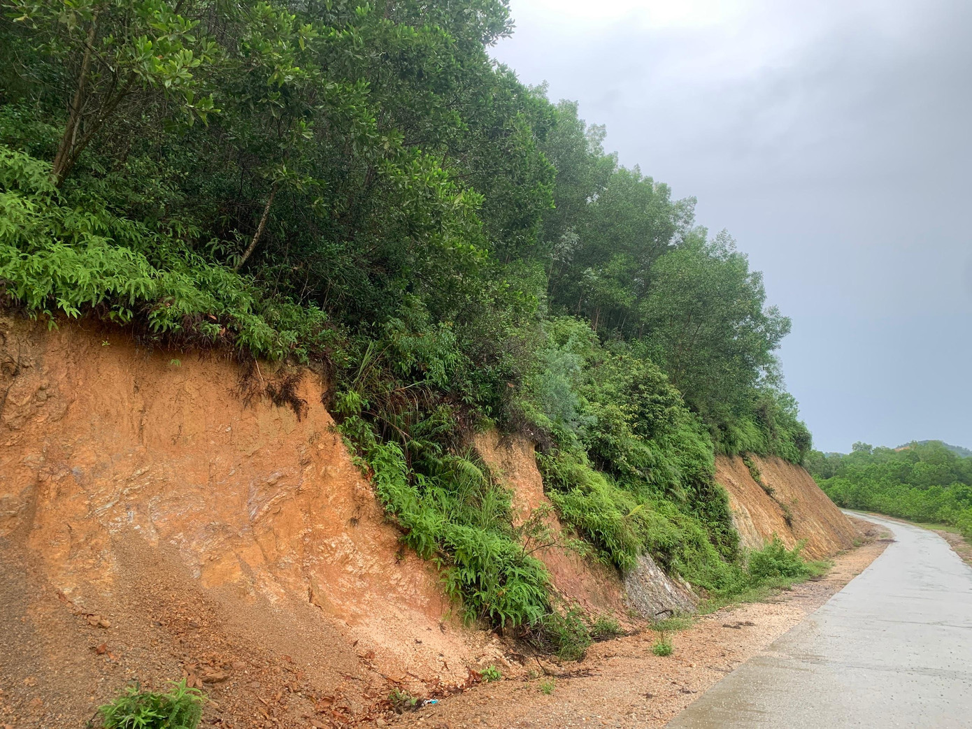 Khu đất rừng do UBND xã Thượng Lộc quản lý nhưng lại cấp cho cá nhân