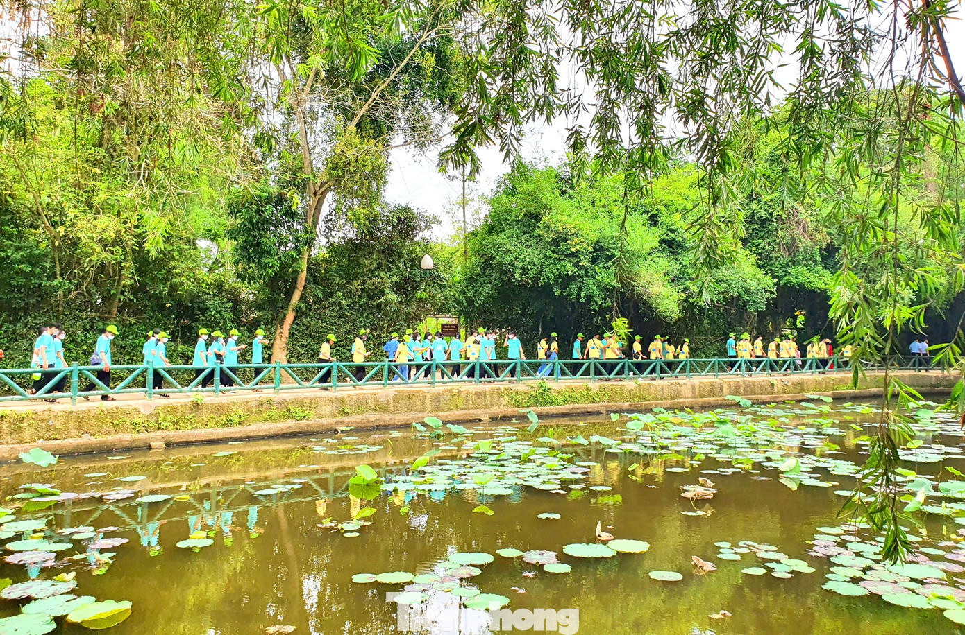 Khu Di tích Quốc gia đặc biệt Kim Liên (xã Kim Liên, huyện Nam Đàn, Nghệ An) những ngày này đón nhiều đoàn du khách đến thắp nén tâm nhang và dâng hoa lên Chủ tịch Hồ Chí Minh.