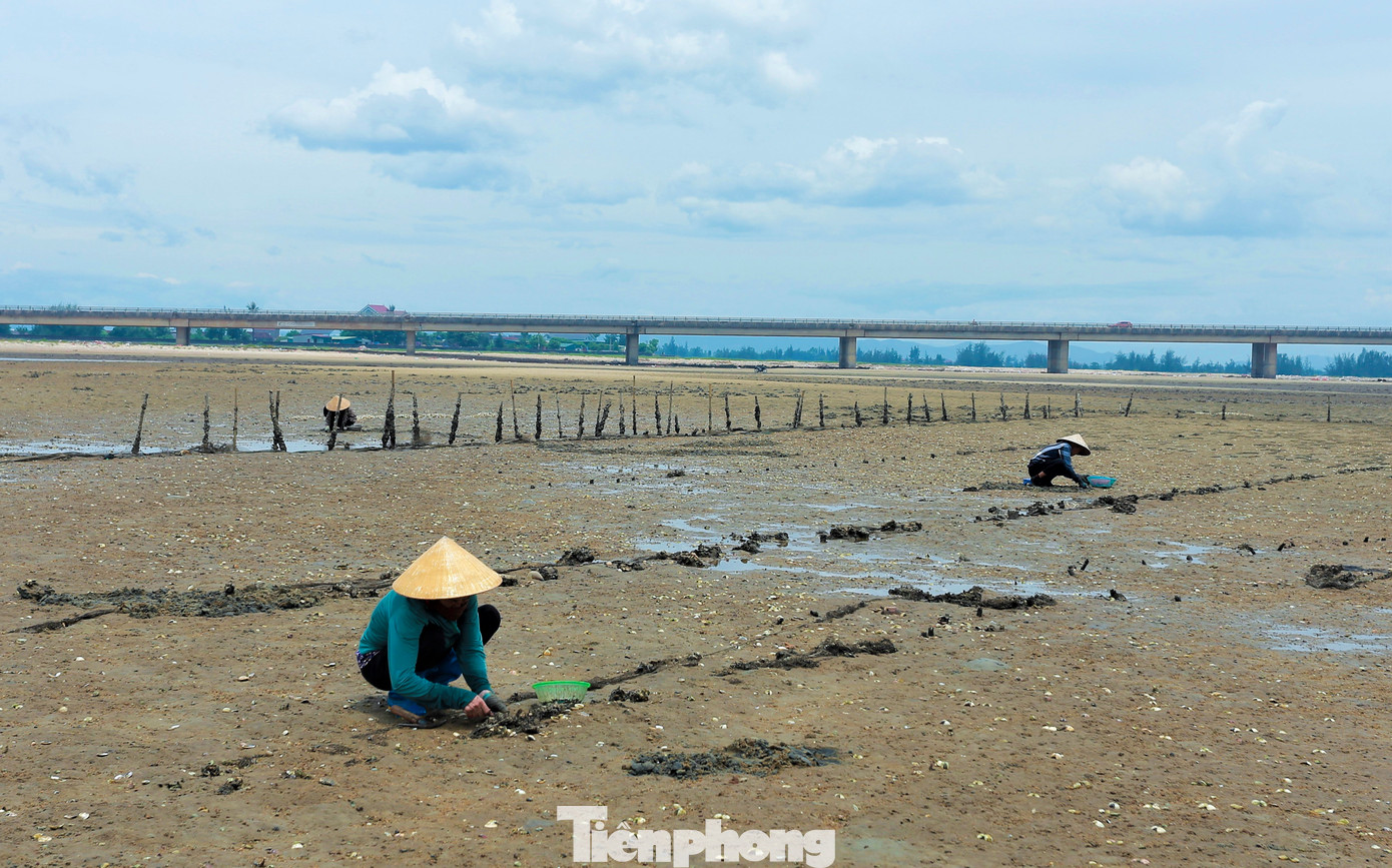 Người dân địa phương cho biết nghề bới cát tìm ngao phụ thuộc vào thủy triều lên xuống. Khi thủy triều rút, ngao biển sẽ ẩn dưới lớp cát khoảng 5-10 cm và có một lỗ nhỏ trên mặt cát, phải để ý kỹ mới nhận ra.