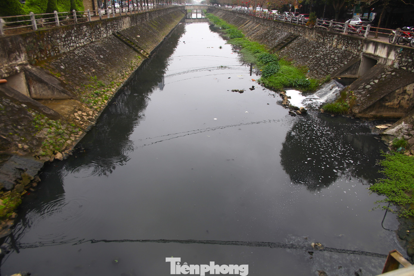 Kênh Bắc chạy dọc đường Nguyễn Sỹ Sách và Phùng Chí Kiên (TP. Vinh, Nghệ An) bị ô nhiễm, nước đen kịt.