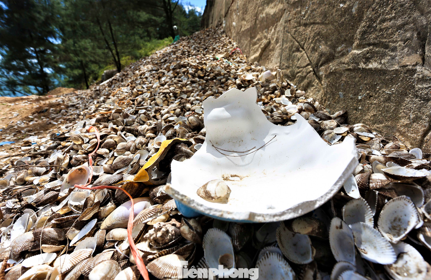 Rác thải bị vứt bừa bãi dọc tuyến đường với đủ loại, từ rác thải sinh hoạt (chai lọ, thức ăn dư thừa, túi nilon), rác thải xây dựng (gạch vụn, ngói vỡ, đất, đá) cho tới rác thải từ hoạt động đánh bắt thủy hải sản (vỏ hến, ngao, sò, hàu...).