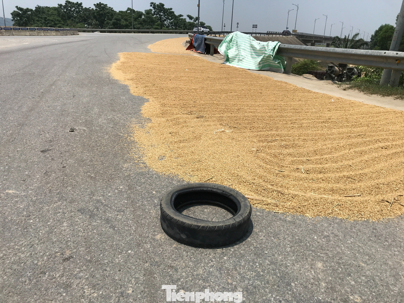 Để tránh việc ô tô, xe máy chạy trên lúa gây hư hỏng, người dân còn dùng nhiều vật cản để chặn tiềm ẩn nguy cơ mất an toàn giao thông.