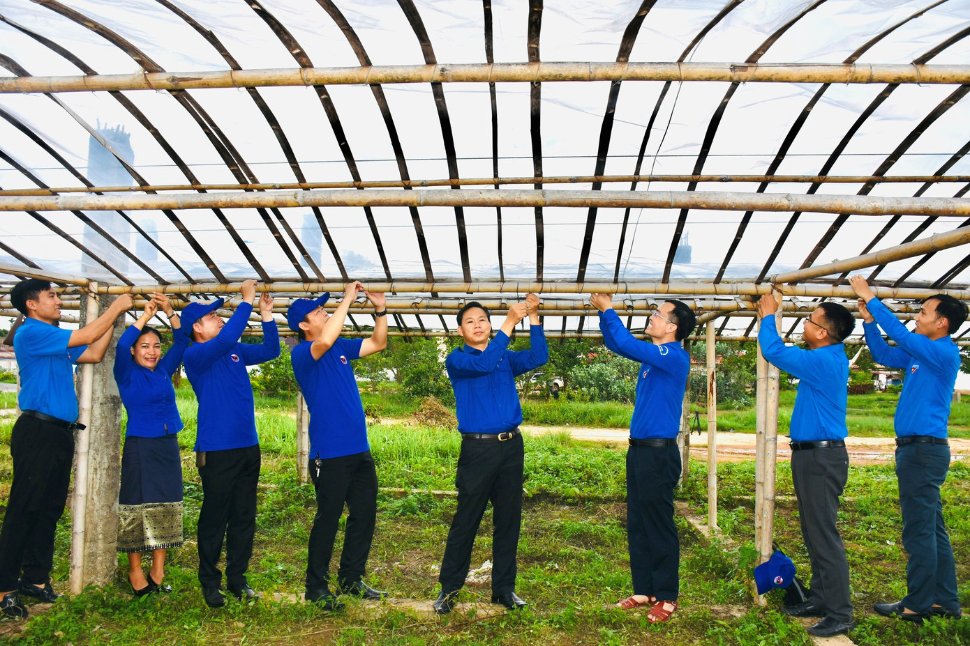 Hoàn thành công trình vườn rau và mái che. Hoàn thành công trình vườn rau và mái che.