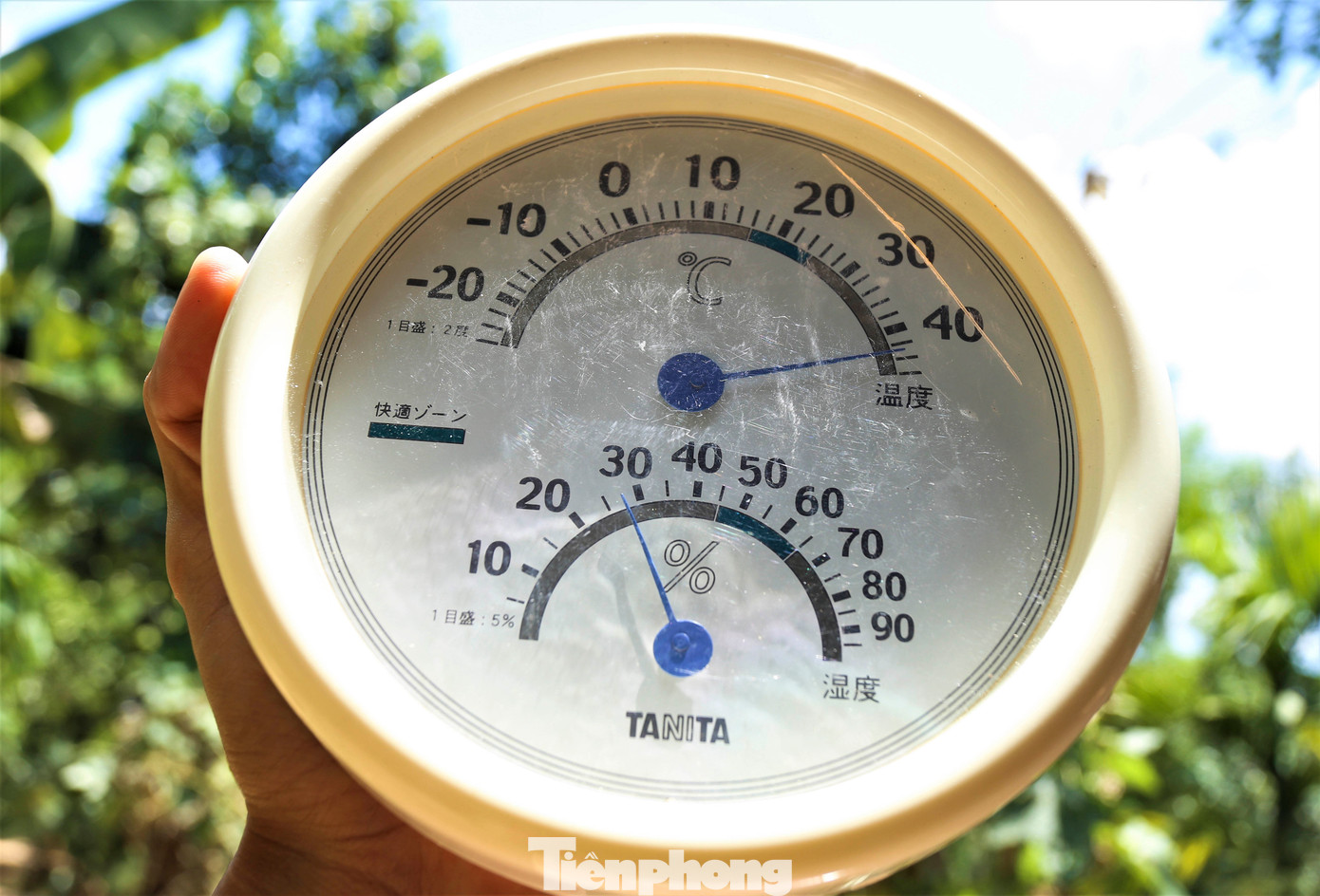 Nền nhiệt đo ngoài trời ở mức đỉnh điểm của nắng nóng lên hơn 41 độ C khiến cuộc sống người dân đảo lộn, cây trồng thiếu nước tưới.