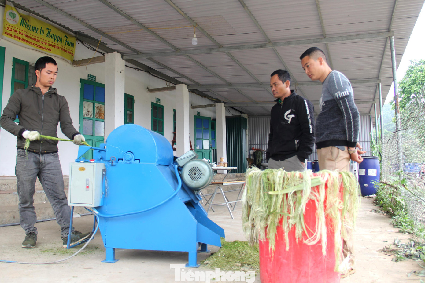 Sau thời gian nghiên cứu, những chiếc máy tách sợi dứa của anh Hạnh đã đi vào hoạt động Sau thời gian nghiên cứu, những chiếc máy tách sợi dứa của anh Hạnh đã đi vào hoạt động