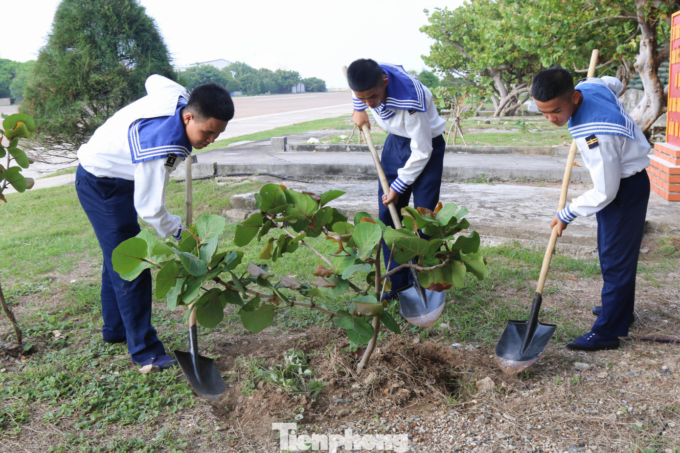 Đảo là nhà, biển là quê hương, các chiến sỹ trẻ chăm sóc những cây non, vun đắp, giữ ẩm để cây nhanh lớn tốt tươi.