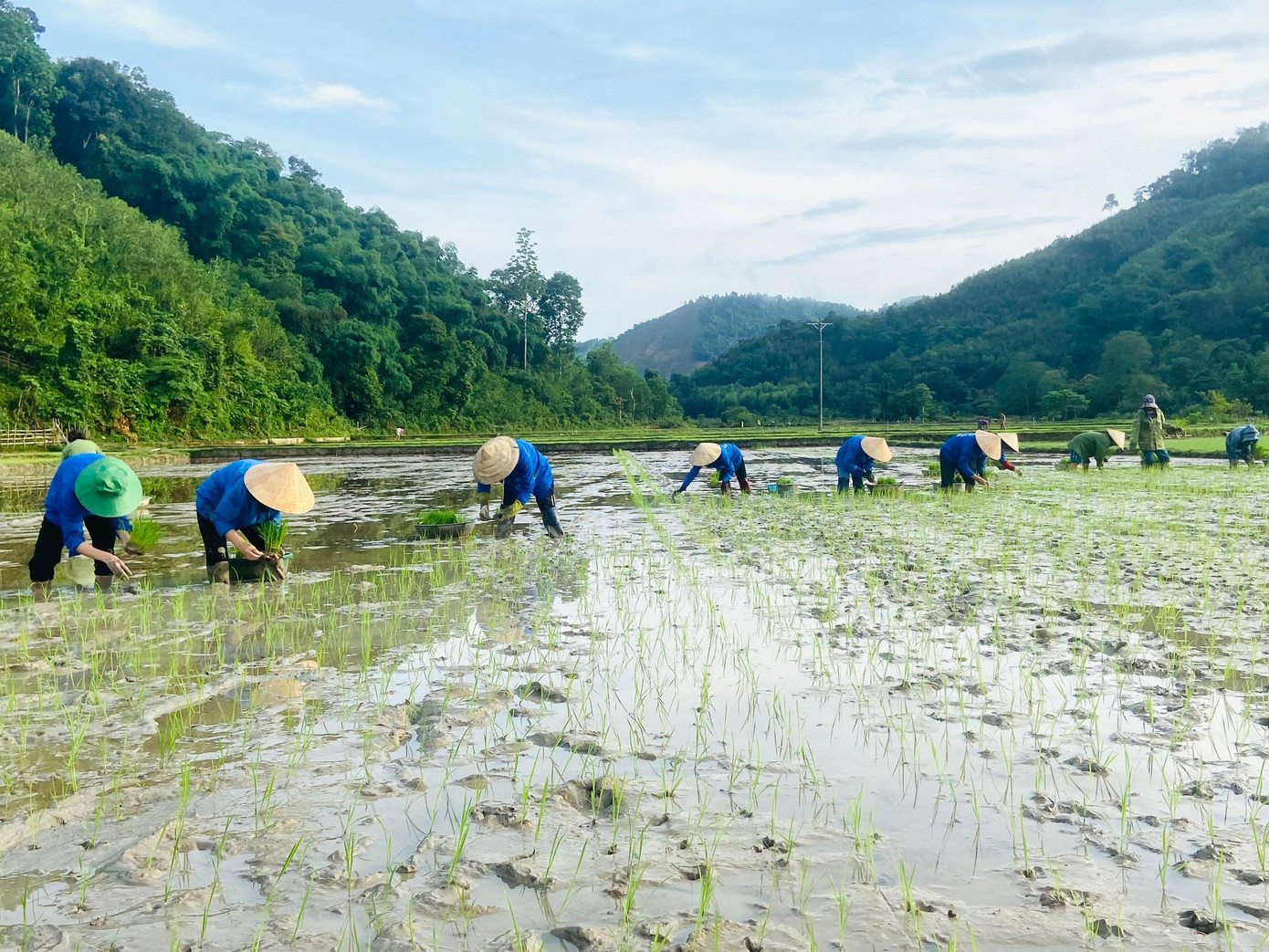 Chiến dịch Thanh niên tình nguyện hè 2022 được Huyện đoàn Con Cuông tổ chức rộng khắp, hiệu quả, an toàn, bền vững gắn với nhiệm vụ chính trị, nhu cầu thực tế của từng địa phương, đơn vị, tạo dấu ấn xã hội tích cực. Qua đó, thực hiện thành công 13 chỉ tiêu đề ra.