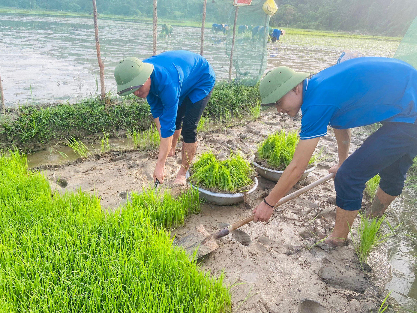 Nằm trong khuôn khổ chiến dịch Thanh niên tình nguyện hè 2022, Huyện Đoàn Con Cuông (Nghệ An) đã phát động nhiều hoạt động thiết thực, trong đó có hoạt động an sinh xã hội, giúp đỡ những gia đình thương binh, liệt sĩ trên địa bàn.