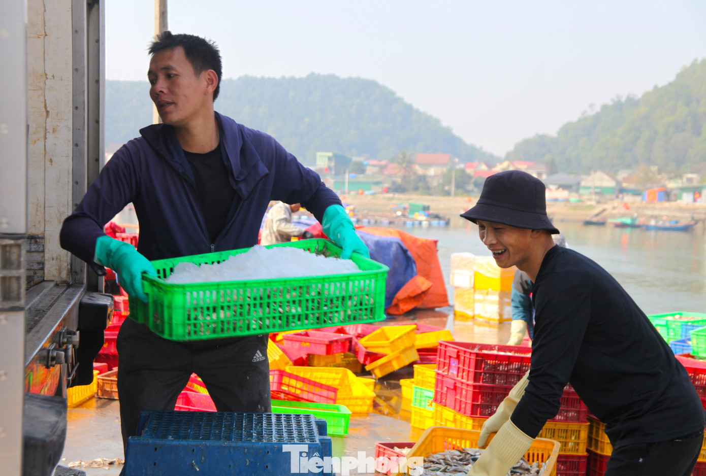 Công việc của đội bốc vác thuê là vận chuyển cá từ tàu vào bờ rồi phân vào từng khay nhựa. Các lao động sau đó sẽ bốc khay nhựa lên những xe tải đông lạnh đã chờ sẵn. Công việc của đội bốc vác thuê là vận chuyển cá từ tàu vào bờ rồi phân vào từng khay nhựa. Các lao động sau đó sẽ bốc khay nhựa lên những xe tải đông lạnh đã chờ sẵn.