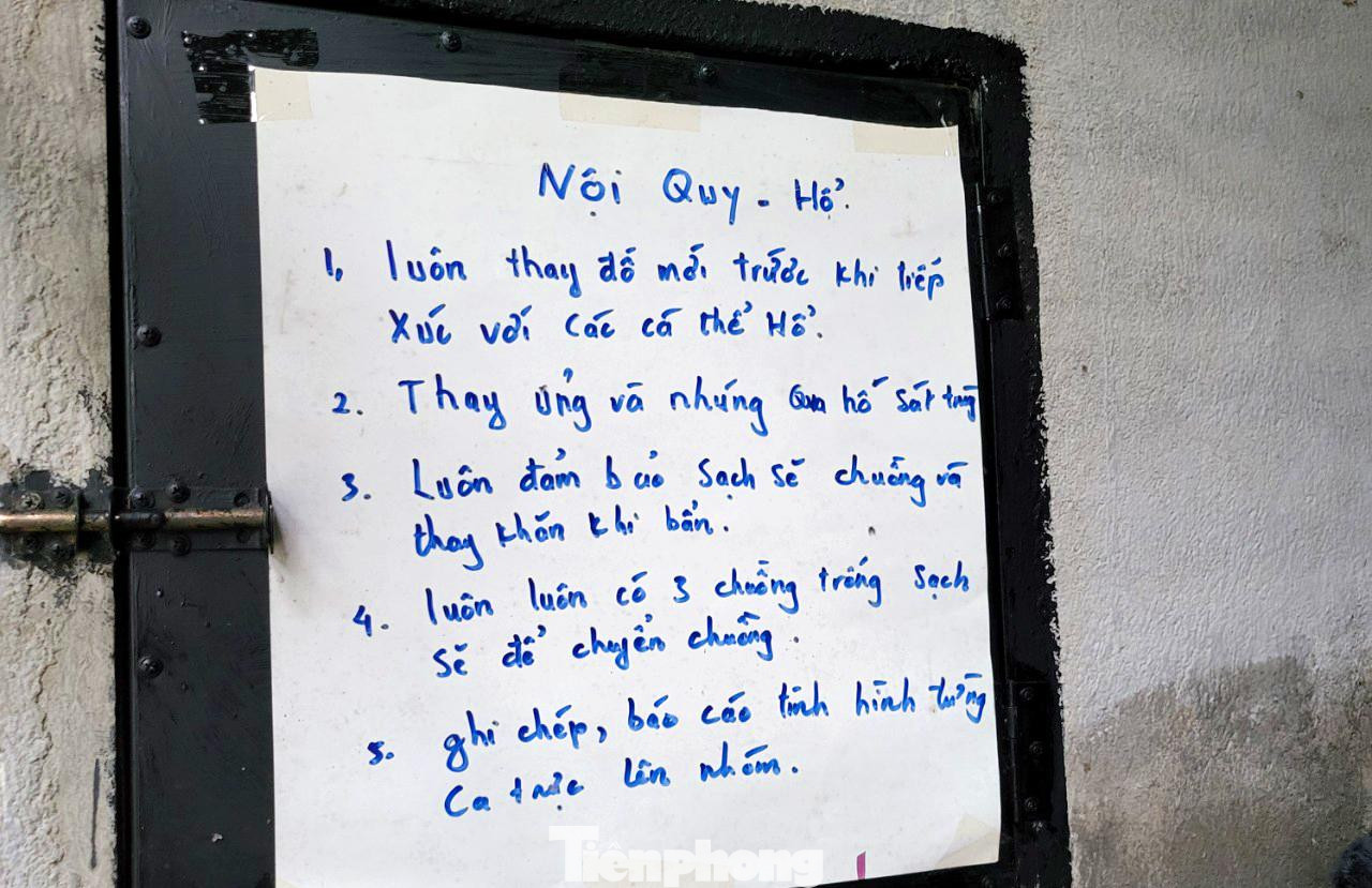Bên ngoài mỗi phòng đều có một tờ giấy A4 ghi rõ nội quy, lịch trình theo dõi, cho ăn, tiêm thuốc...