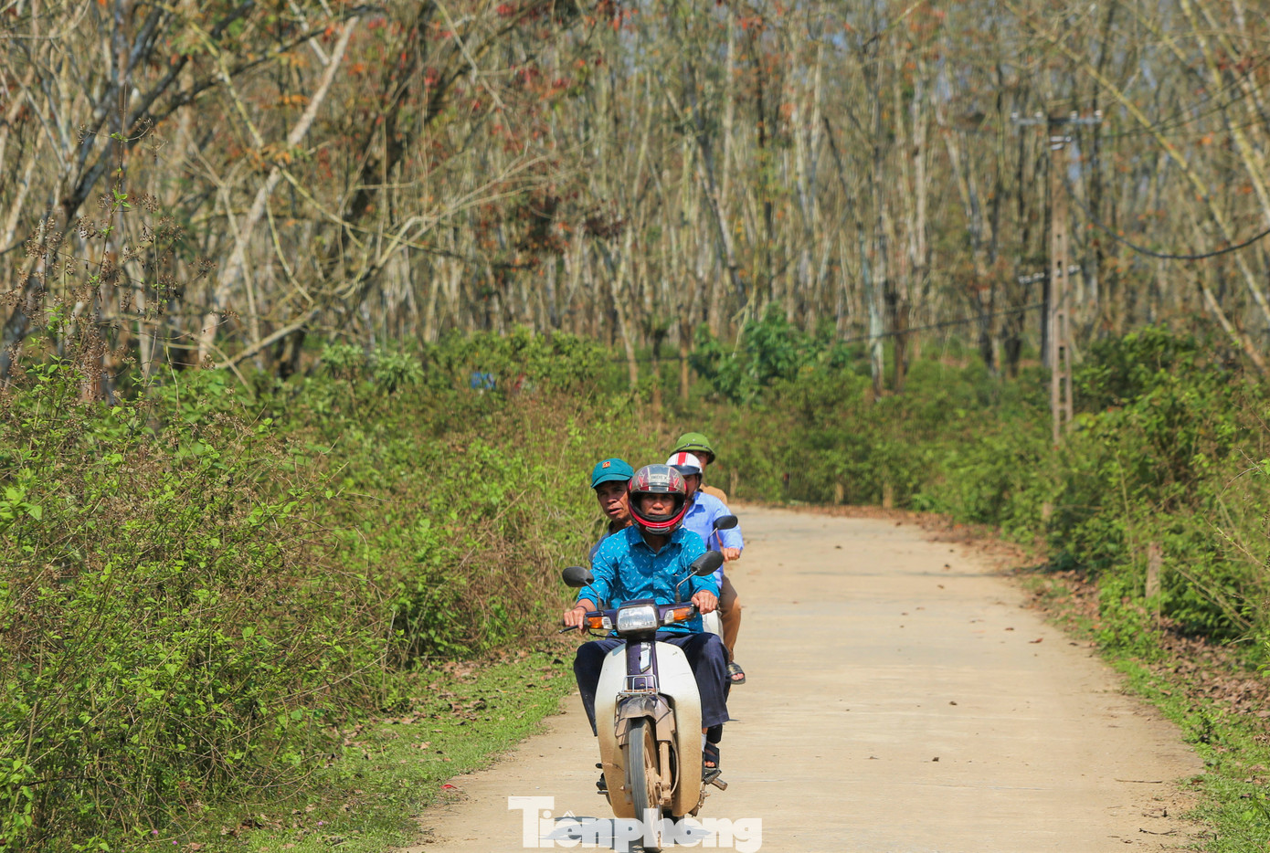 Những con đường xuyên suốt giữa rừng cao su.