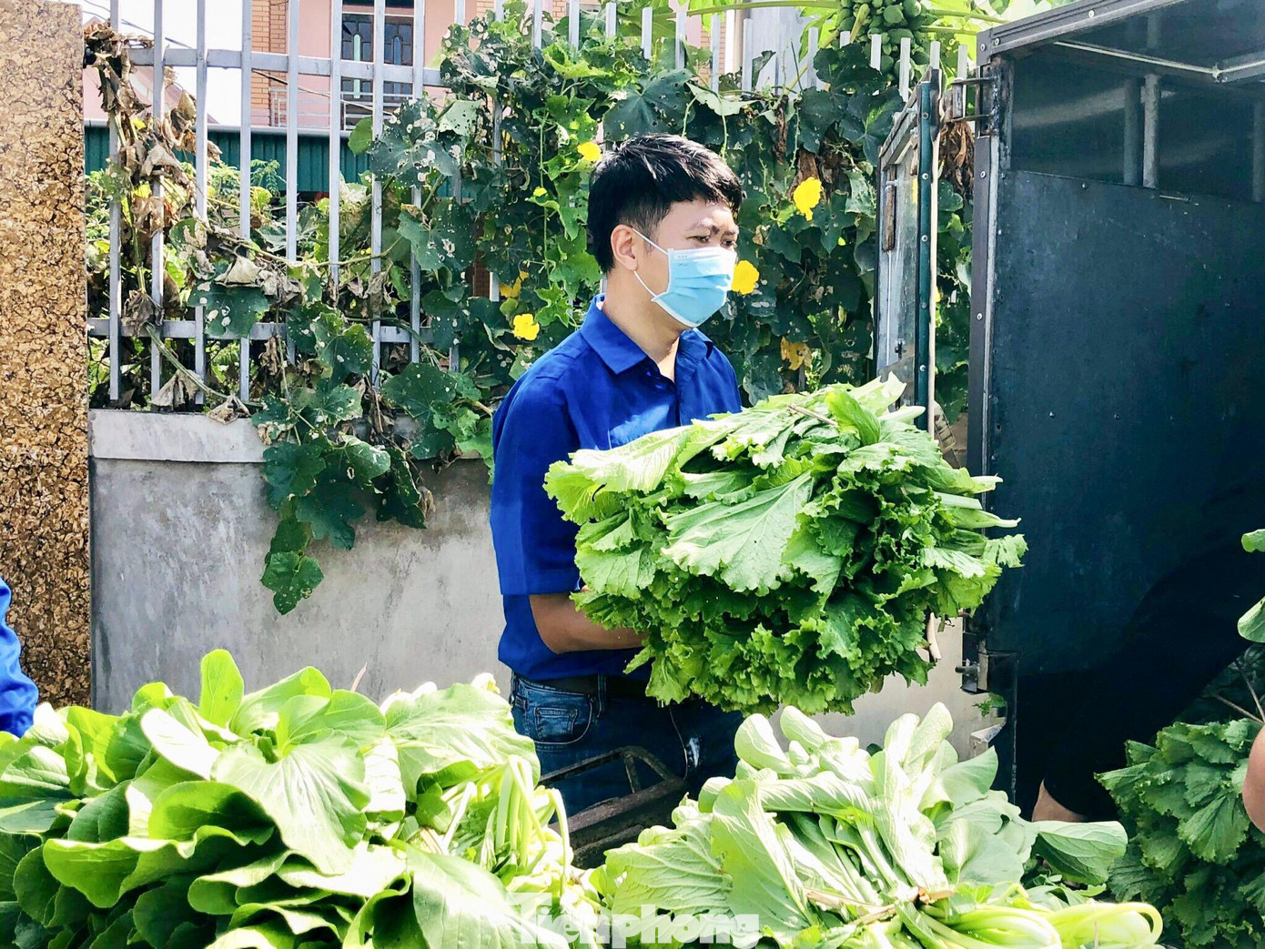 Cũng theo anh Nguyễn Đức Lộc, thời gian tới, Huyện đoàn Nghi Lộc sẽ tiếp tục hỗ trợ tất cả các hộ dân, đơn vị có rau cần tiêu thụ. Cũng theo anh Nguyễn Đức Lộc, thời gian tới, Huyện đoàn Nghi Lộc sẽ tiếp tục hỗ trợ tất cả các hộ dân, đơn vị có rau cần tiêu thụ.