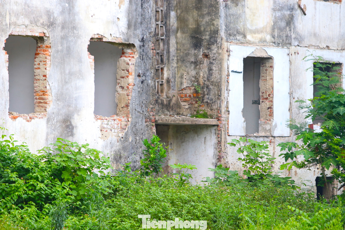 Dự kiến trong ít ngày tới, tòa nhà C8 sẽ bị dỡ bỏ.