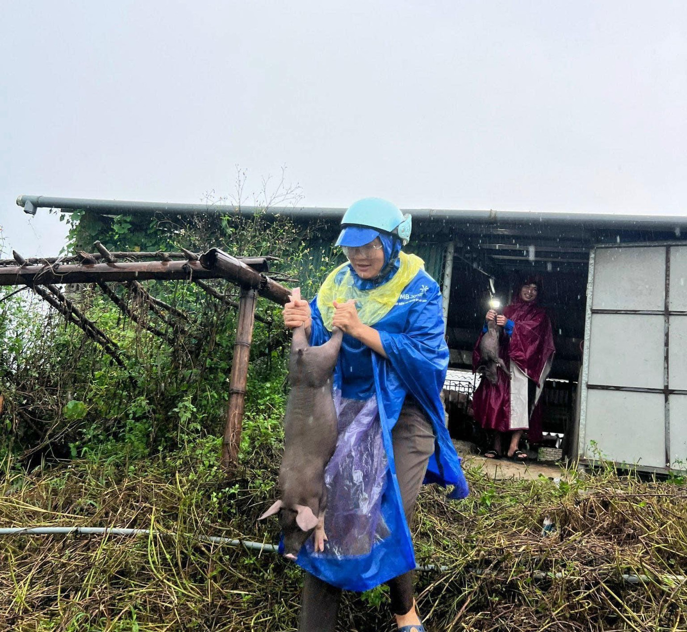 Về chăn nuôi có 370 con gia súc; 3.425 con gia cầm bị chết và lũ cuốn trôi. 700,36 ha ao hồ nuôi trồng thủy sản bị ngập.