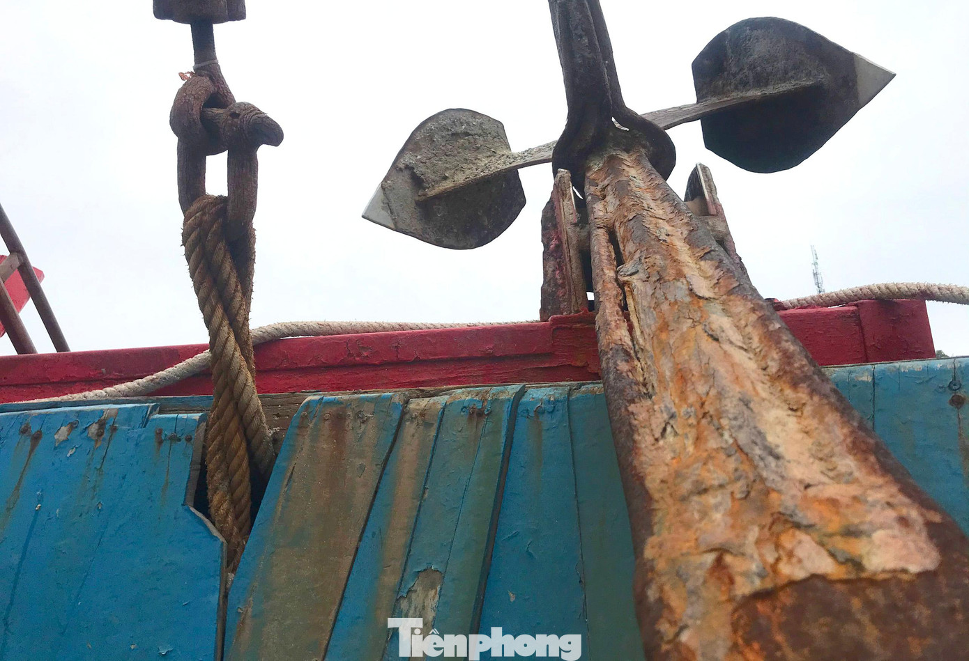 Anh Hồ Hữu Tĩnh (trú xã Quỳnh Nghĩa, huyện Quỳnh Lưu) cho biết, anh cùng một số bạn thuyền trong xã chung tiền mua con tàu 900 CV, cùng ngư cụ đánh bắt gần 7 tỷ đồng. Ba năm nay ra khơi không có lãi, các bạn thuyền lần lượt bỏ nghề đi tứ phương kiếm việc khác mưu sinh. Đầu năm 2022, ngư dân có hơn 20 năm bám biển này cũng quyết định bán tháo tàu cá rồi vào Phú Quốc làm phụ hồ kiếm tiền nuôi gia đình. Anh Hồ Hữu Tĩnh (trú xã Quỳnh Nghĩa, huyện Quỳnh Lưu) cho biết, anh cùng một số bạn thuyền trong xã chung tiền mua con tàu 900 CV, cùng ngư cụ đánh bắt gần 7 tỷ đồng. Ba năm nay ra khơi không có lãi, các bạn thuyền lần lượt bỏ nghề đi tứ phương kiếm việc khác mưu sinh. Đầu năm 2022, ngư dân có hơn 20 năm bám biển này cũng quyết định bán tháo tàu cá rồi vào Phú Quốc làm phụ hồ kiếm tiền nuôi gia đình.