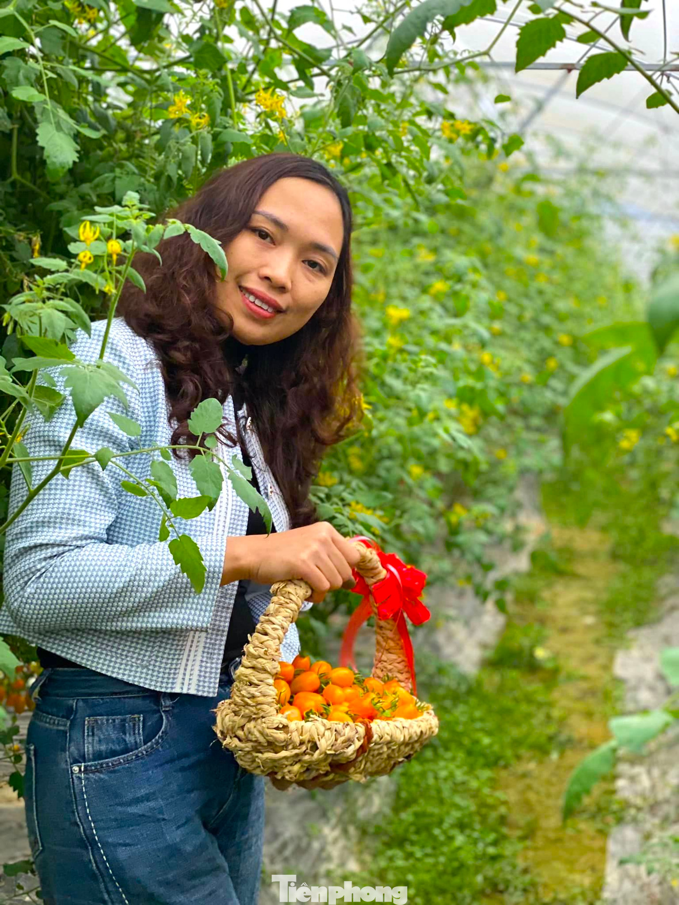 Không chỉ bán sản phẩm, anh Tuấn còn tận dụng lợi thế vị trí địa lý của trang trại gần quốc lộ 7, đường vào thông thoáng nên mở cửa đón khách đến tham quan, kết hợp du lịch cộng đồng, trải nghiệm. Nhiều bạn trẻ thích thú và háo hức đến trải nghiệm tự tay hái cà chua Mỹ, dâu tây rồi chụp hình check in lưu niệm.