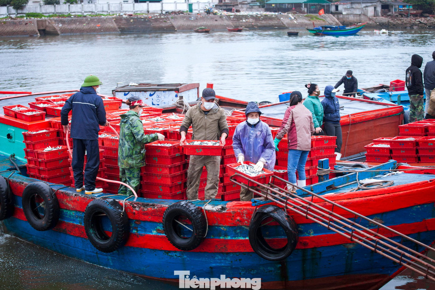 Sáng 14/2, nhiều tàu thuyền công suất nhỏ của ngư dân huyện Diễn Châu cập cảng Lạch Vạn sau một đêm đánh bắt trên biển. Dù được nhiều hay ít, nhưng bà con ngư dân đều phấn khởi, vì chuyến đánh bắt đầu năm mới đã có “lộc biển”.