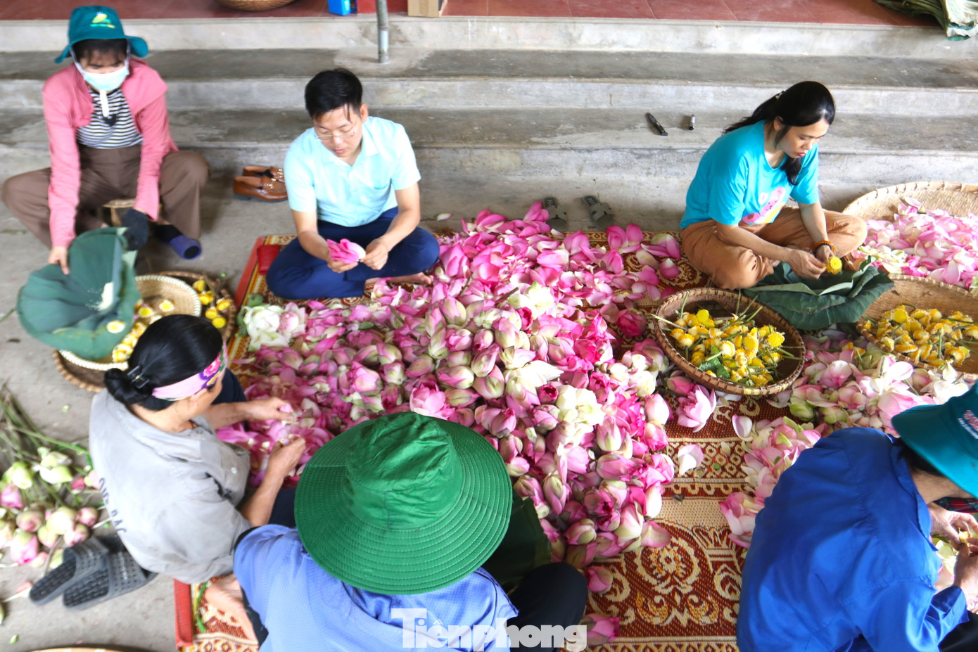 Từ cây hoa sen, anh Tiến đã chế tạo ra 15 sản phẩm khác nhau. Trong đó có 11 sản phẩm được công nhận 3-4 sao OCOP (chương trình mỗi xã một sản phẩm).