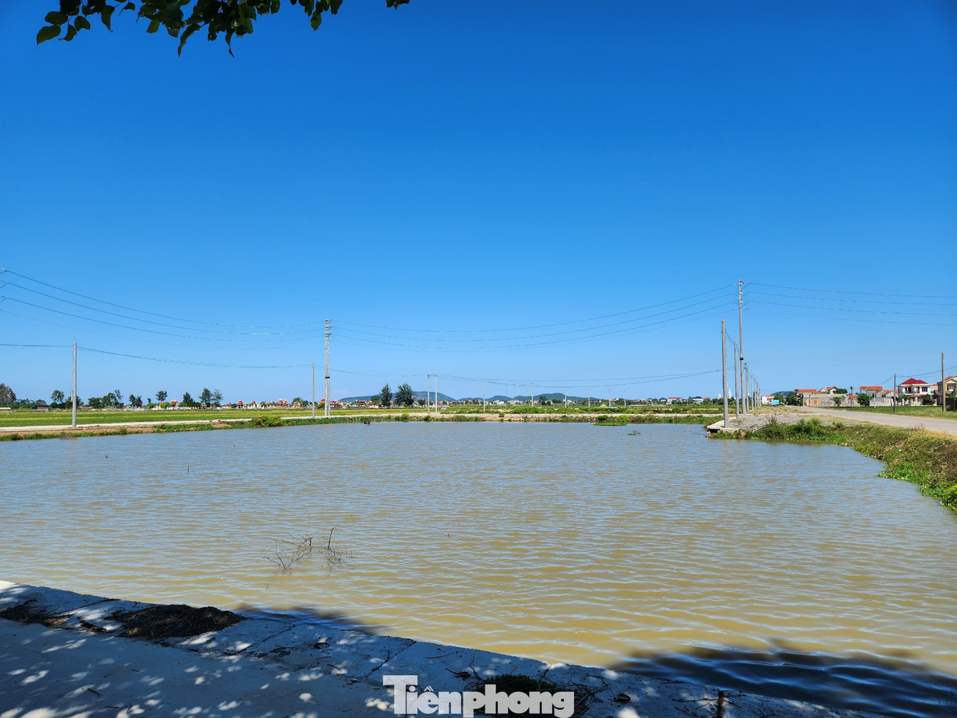 Khu đất vừa đấu giá vẫn còn nhiều đầm nước sâu, xung quanh đã được làm hệ thống đường đi mương nước và đường điện. Khu đất vừa đấu giá vẫn còn nhiều đầm nước sâu, xung quanh đã được làm hệ thống đường đi mương nước và đường điện.