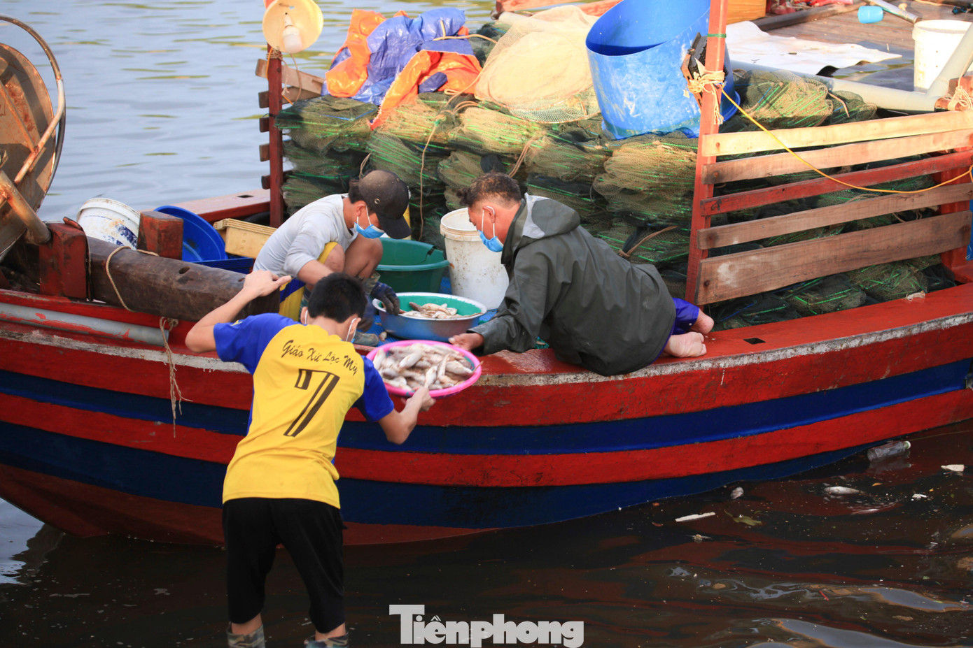 Hầu hết các loại hải sản mà ngư dân khai thác được nhiều như cá bạc má, cá lượng hồng, cá ù, cá nục, tôm, mực...