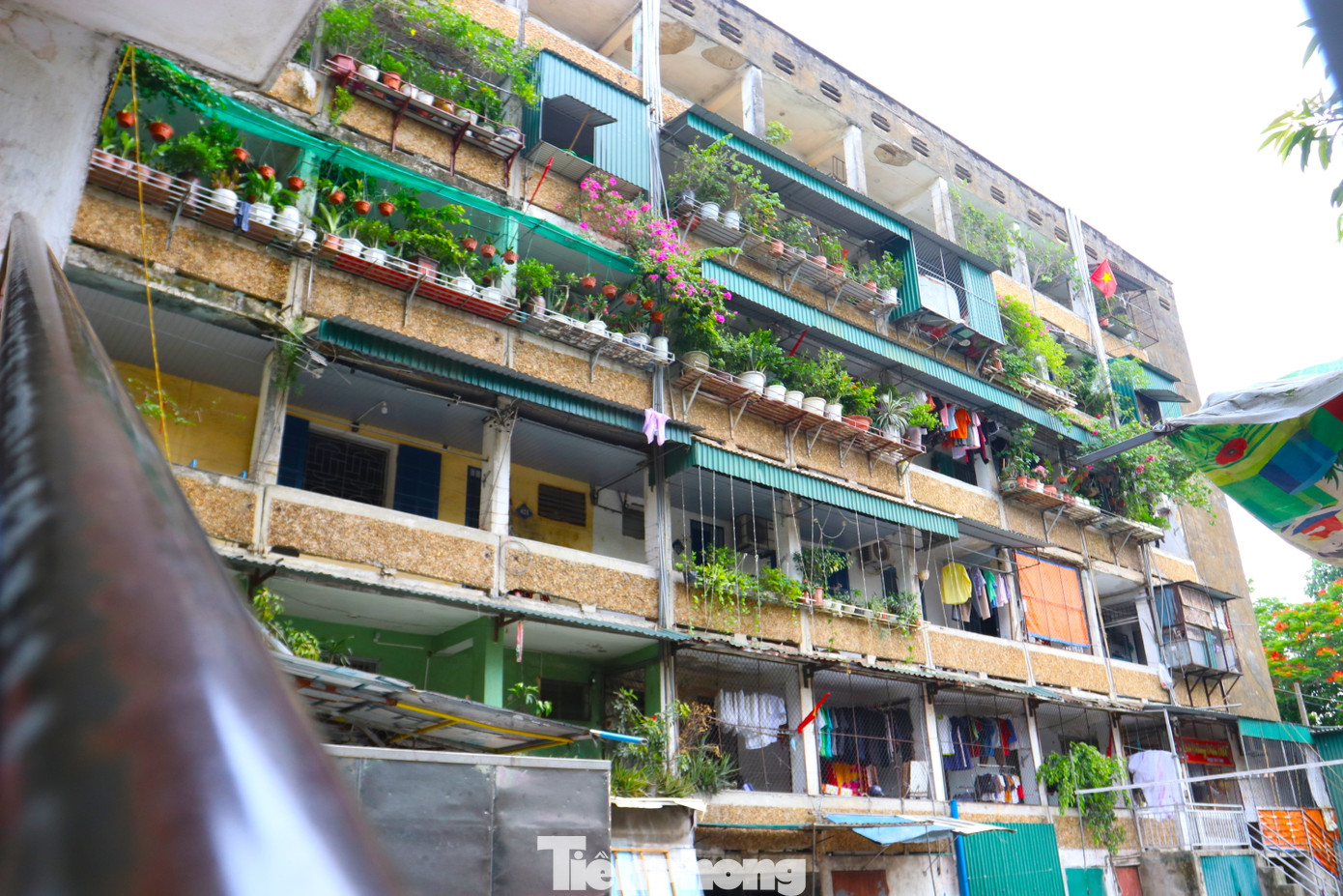 Hiện nay một số khu chung cư đã được giao cho các nhà đầu tư thực hiện cải tạo, xây mới các tòa chung cư cũ xuống cấp. Trong đó, Khu A có diện tích 3,45ha, được giao cho Công ty CP Đầu tư đô thị dầu khí Quang Trung làm chủ đầu tư; Khu B có diện tích 3,75ha, được giao cho Tập đoàn Vingroup làm chủ đầu tư; Khu C có diện tích 7,22ha được giao cho Công ty CP Đầu tư và phát triển nhà Hà Nội số 30 làm chủ đầu tư.