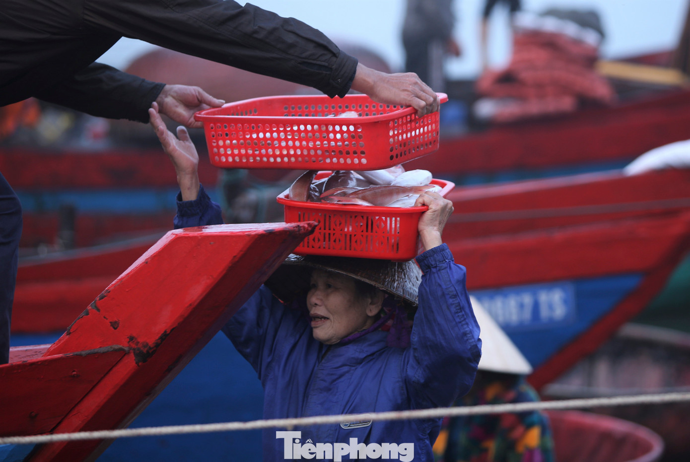 Gắn bó với nghề hơn 20 năm nay, bà Nguyễn Thị Thu Hà (74 tuổi, xã Thạch Bằng, huyện Lộc Hà) ngày ngày vẫn dậy từ rạng sáng rồi có mặt ở cảng cá, chờ từng đoàn thuyền ngoài khơi rẽ sóng vào bờ.