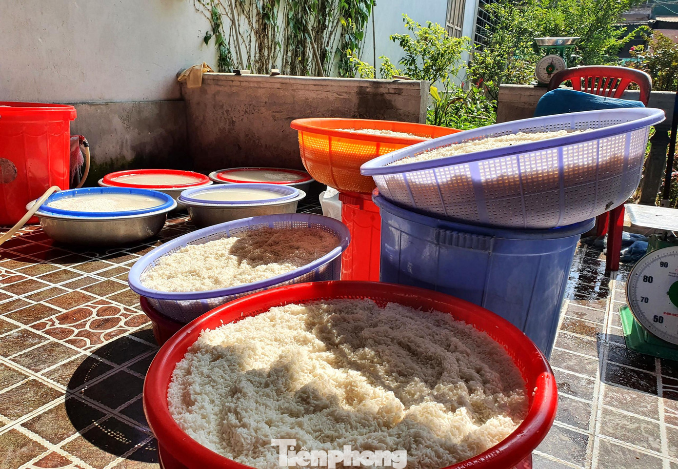 Nếp được dùng để gói bánh là loại nếp Thái, thơm, dẻo. Trước khi nấu, nếp được vo kĩ, để ráo nước chừng 1 tiếng.