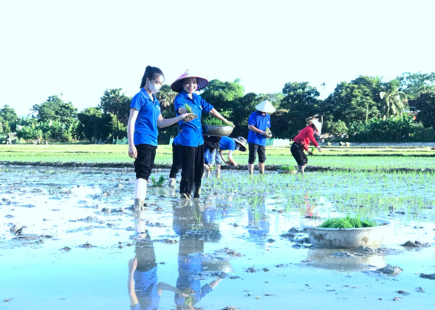Dù công việc mệt nhọc, chân lấm tay bùn nhưng các bạn trẻ vẫn luôn tươi cười rạng rỡ với công việc mình đang làm.