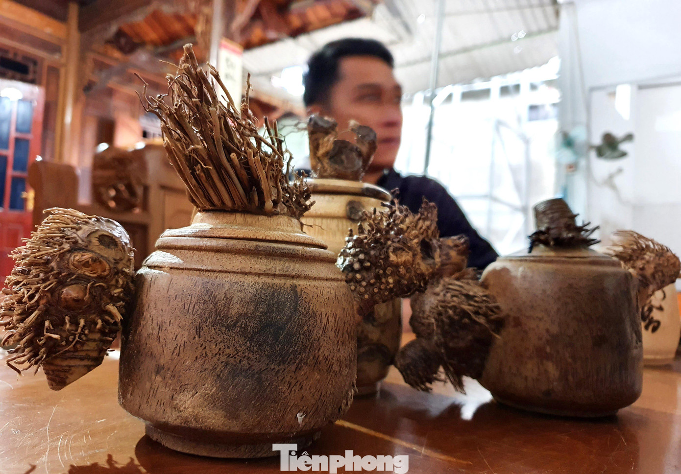 Chàng trai trẻ cho biết, thường sau khi khai thác tre, người ta sẽ vứt gốc đi. Tiếc của, nhận thấy thứ bỏ đi ấy sẽ "đẻ ra tiền" nếu được chế tác thành các sản phẩm thủ công mỹ nghệ. Nghĩ là làm, Tiến thuê máy múc lên rừng đào rễ tre tìm nguyên liệu.