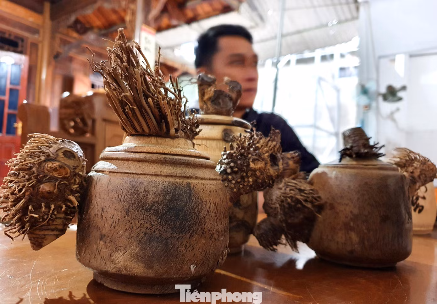 Chàng trai trẻ cho biết, thường sau khi khai thác tre, người ta sẽ vứt gốc đi. Tiếc của, nhận thấy thứ bỏ đi ấy sẽ "đẻ ra tiền" nếu được chế tác thành các sản phẩm thủ công mỹ nghệ. Nghĩ là làm, Tiến thuê máy múc lên rừng đào rễ tre tìm nguyên liệu.
