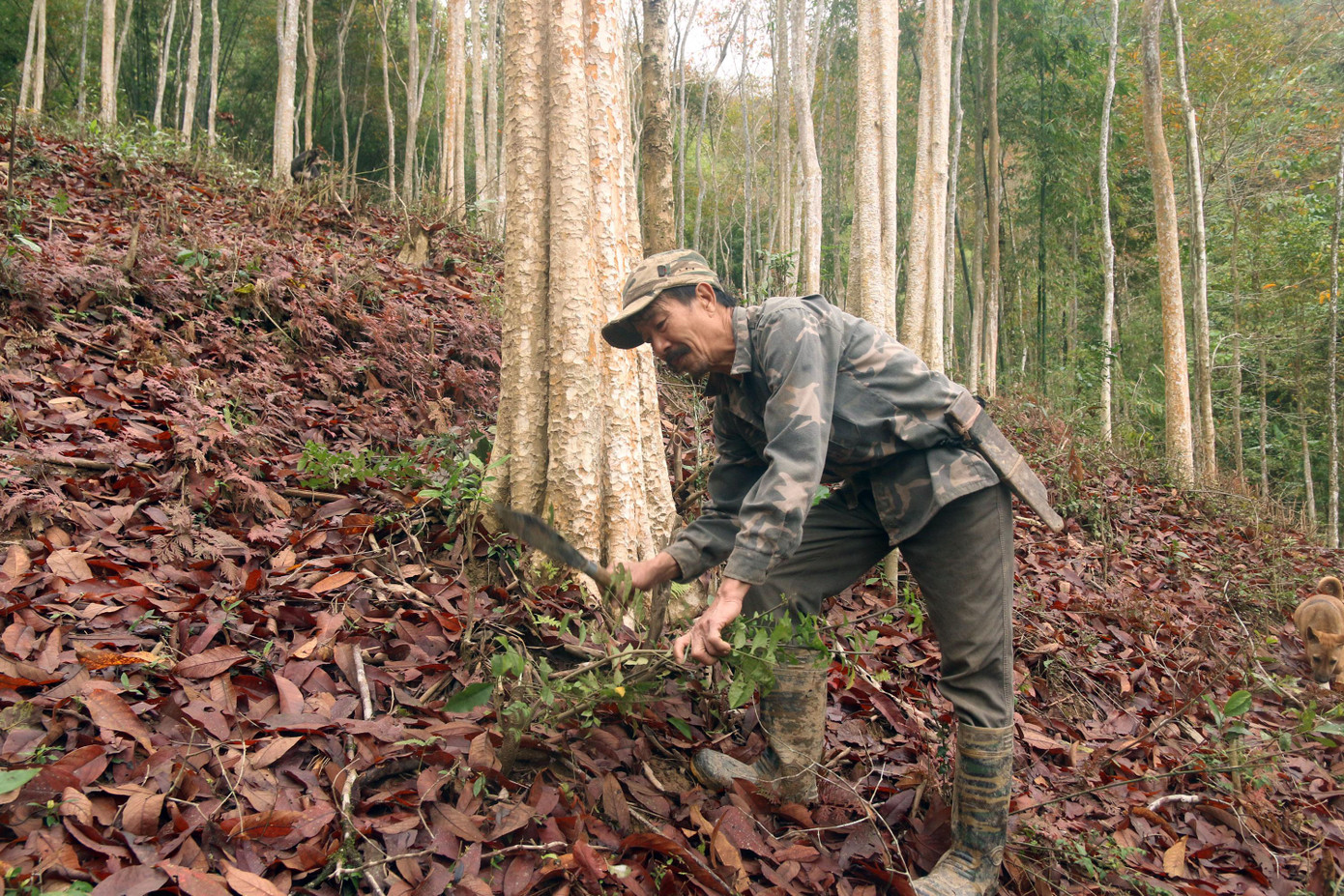 Ông Nam chăm sóc cơ ngơi tiền tỉ của gia đình.