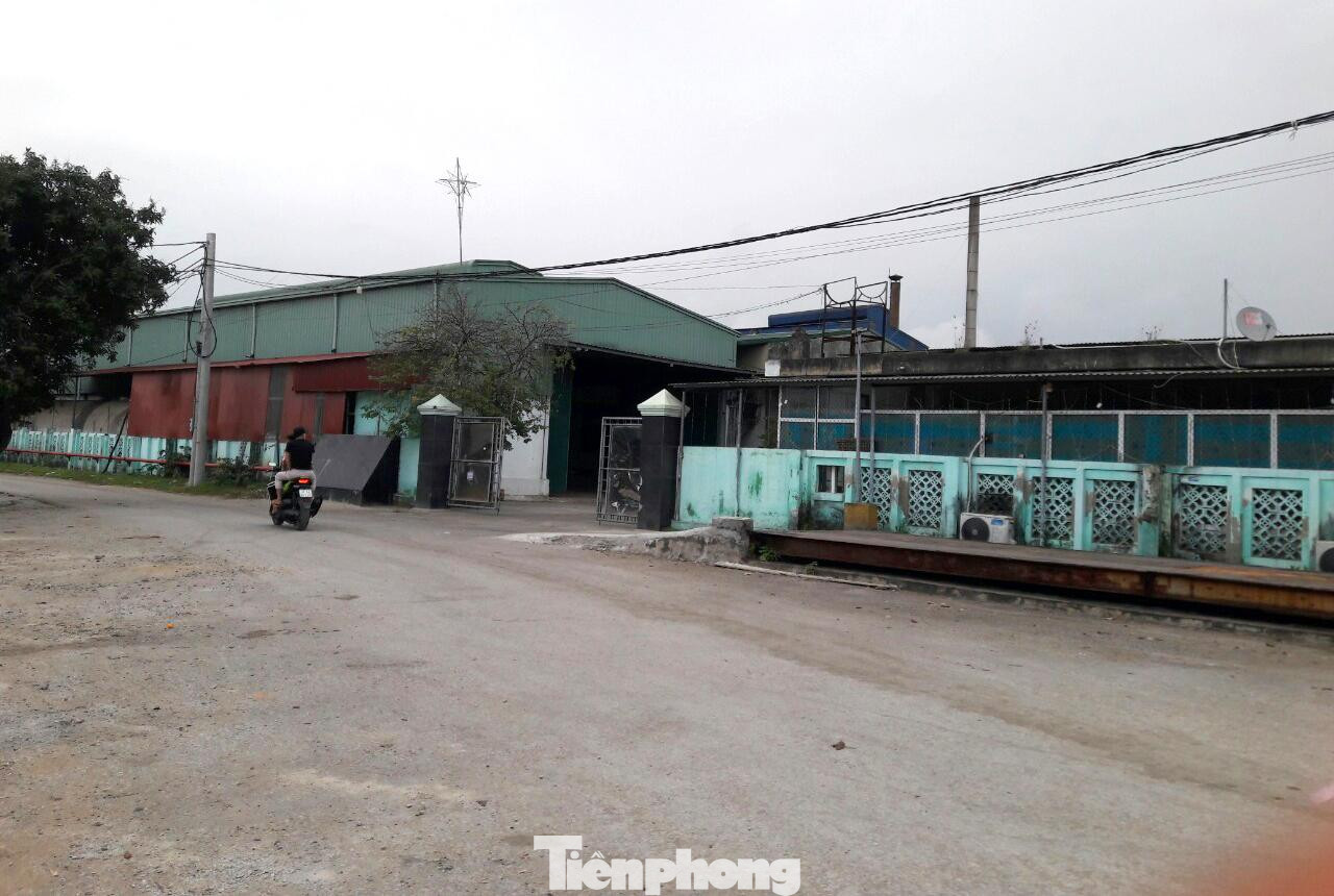 Nhà máy chế biến bột cá của Công ty TNHH Thủy sản Bắc Miền Trung được xây dựng phía bờ Nam của cảng Lạch Quèn (thuộc địa phận xóm Đức Long, xã Quỳnh Thuận, huyện Quỳnh Lưu, Nghệ An). Mỗi lần nhà máy này vận hành, người dân nơi đây lại bị ám ảnh bởi mùi hôi thối bốc lên nồng nặc dù được giới thiệu là chế biến bột cá với công nghệ hiện đại. Nhà máy chế biến bột cá của Công ty TNHH Thủy sản Bắc Miền Trung được xây dựng phía bờ Nam của cảng Lạch Quèn (thuộc địa phận xóm Đức Long, xã Quỳnh Thuận, huyện Quỳnh Lưu, Nghệ An). Mỗi lần nhà máy này vận hành, người dân nơi đây lại bị ám ảnh bởi mùi hôi thối bốc lên nồng nặc dù được giới thiệu là chế biến bột cá với công nghệ hiện đại.