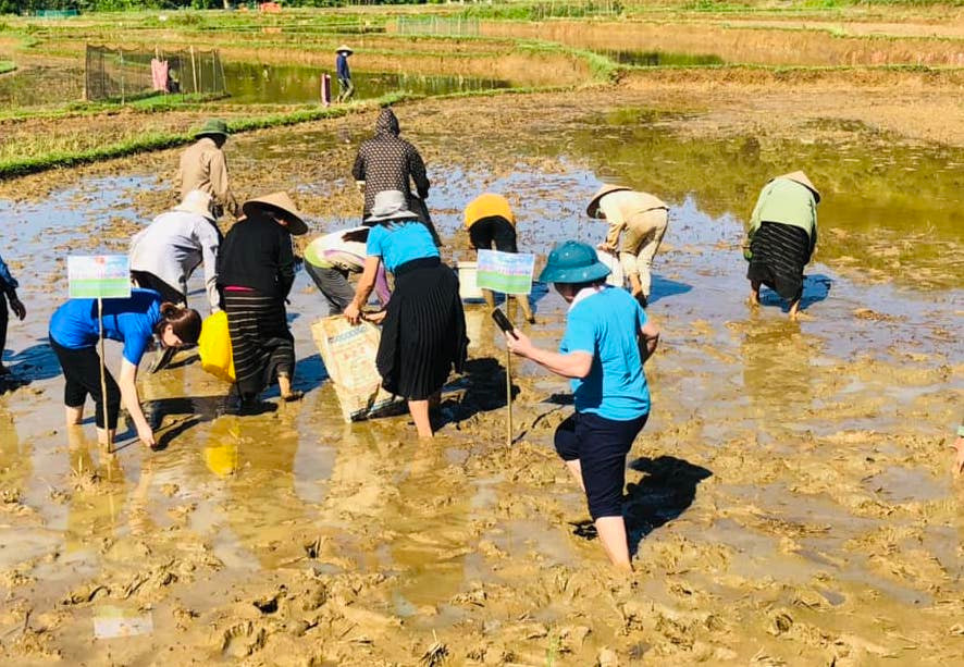 Để diệt trừ ốc bươu vàng được năng suất, các đơn vị đã tổ chức thành cuộc thi với 3 đội thi bắt ốc bươu vàng. Để diệt trừ ốc bươu vàng được năng suất, các đơn vị đã tổ chức thành cuộc thi với 3 đội thi bắt ốc bươu vàng.