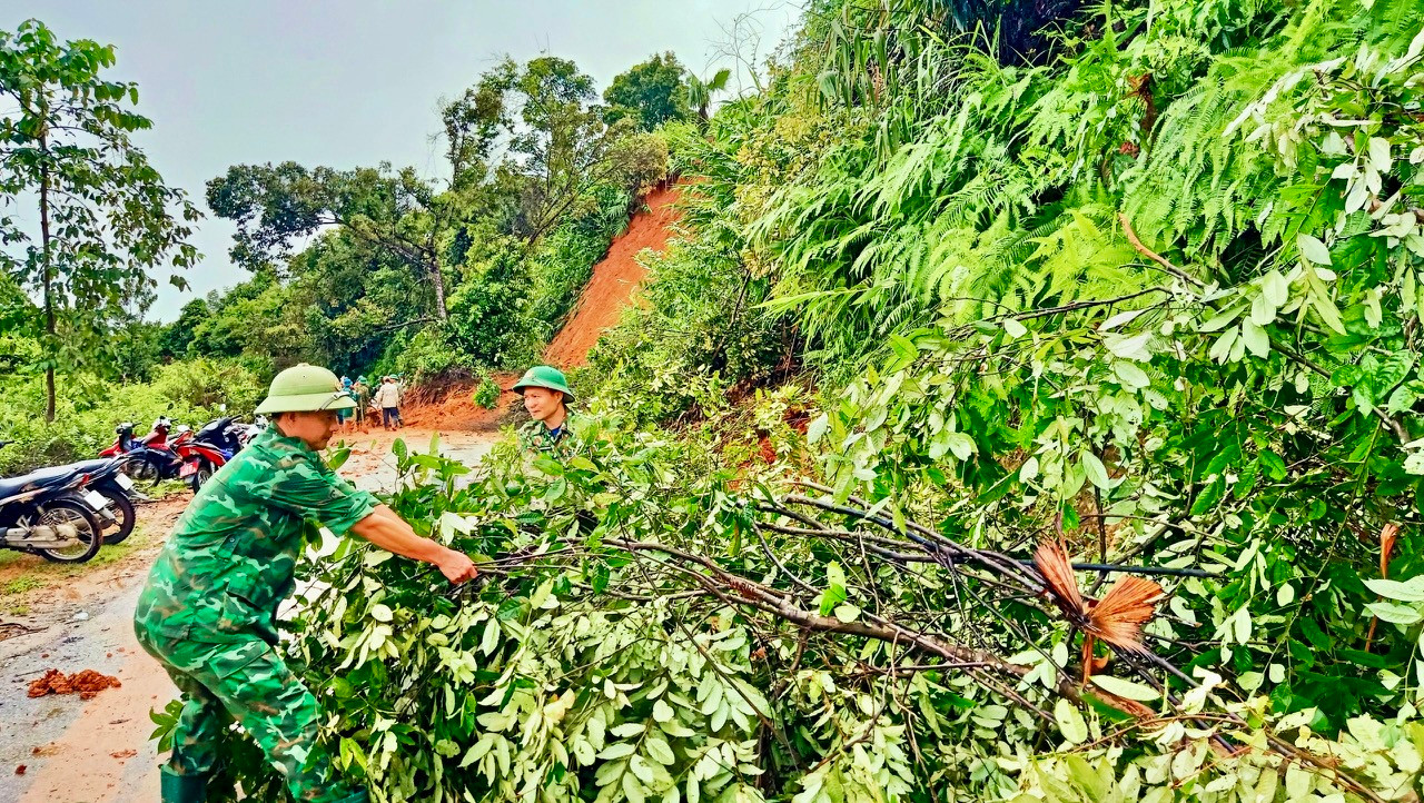 Về nông nghiệp, toàn tỉnh Nghệ An bị thiệt hại về lúa là 2.420,13 ha; Thiệt hại về hoa màu: 4.007,10 ha; Cây công nghiệp: 3.514,80 ha; Lương thực bị thiệt hại: 119,4 tấn. Về chăn nuôi có gia súc bị chết, cuốn trôi là 647 con; Gia cầm bị chết, cuốn trôi: 18.594 con….
