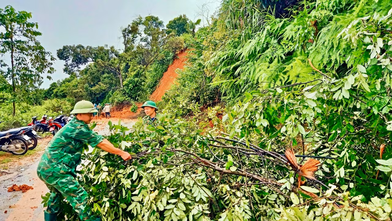 Về nông nghiệp, toàn tỉnh Nghệ An bị thiệt hại về lúa là 2.420,13 ha; Thiệt hại về hoa màu: 4.007,10 ha; Cây công nghiệp: 3.514,80 ha; Lương thực bị thiệt hại: 119,4 tấn. Về chăn nuôi có gia súc bị chết, cuốn trôi là 647 con; Gia cầm bị chết, cuốn trôi: 18.594 con….