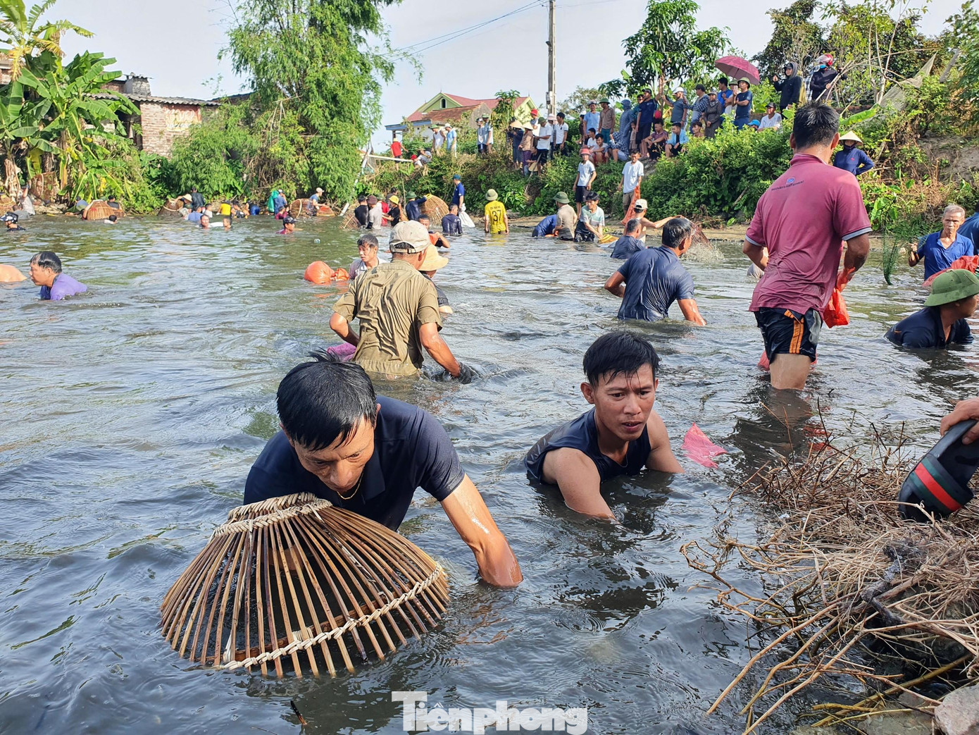 Vùng quê vốn yên tĩnh bỗng chốc trở nên huyên náo bởi tiếng hò reo, cổ vũ, tiếng úp nơm…