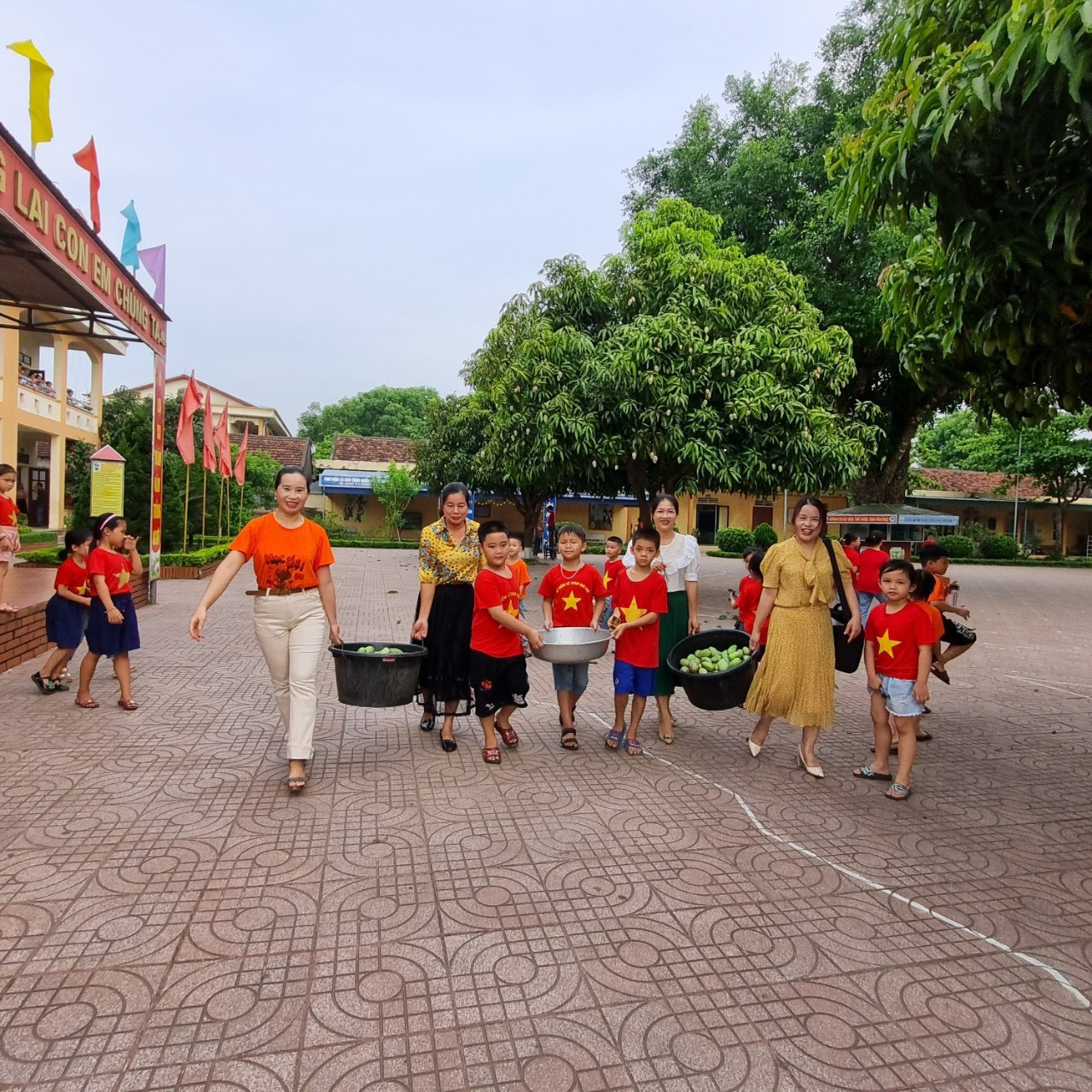 Các học sinh thích thú khi được cùng tham gia hái xoài.