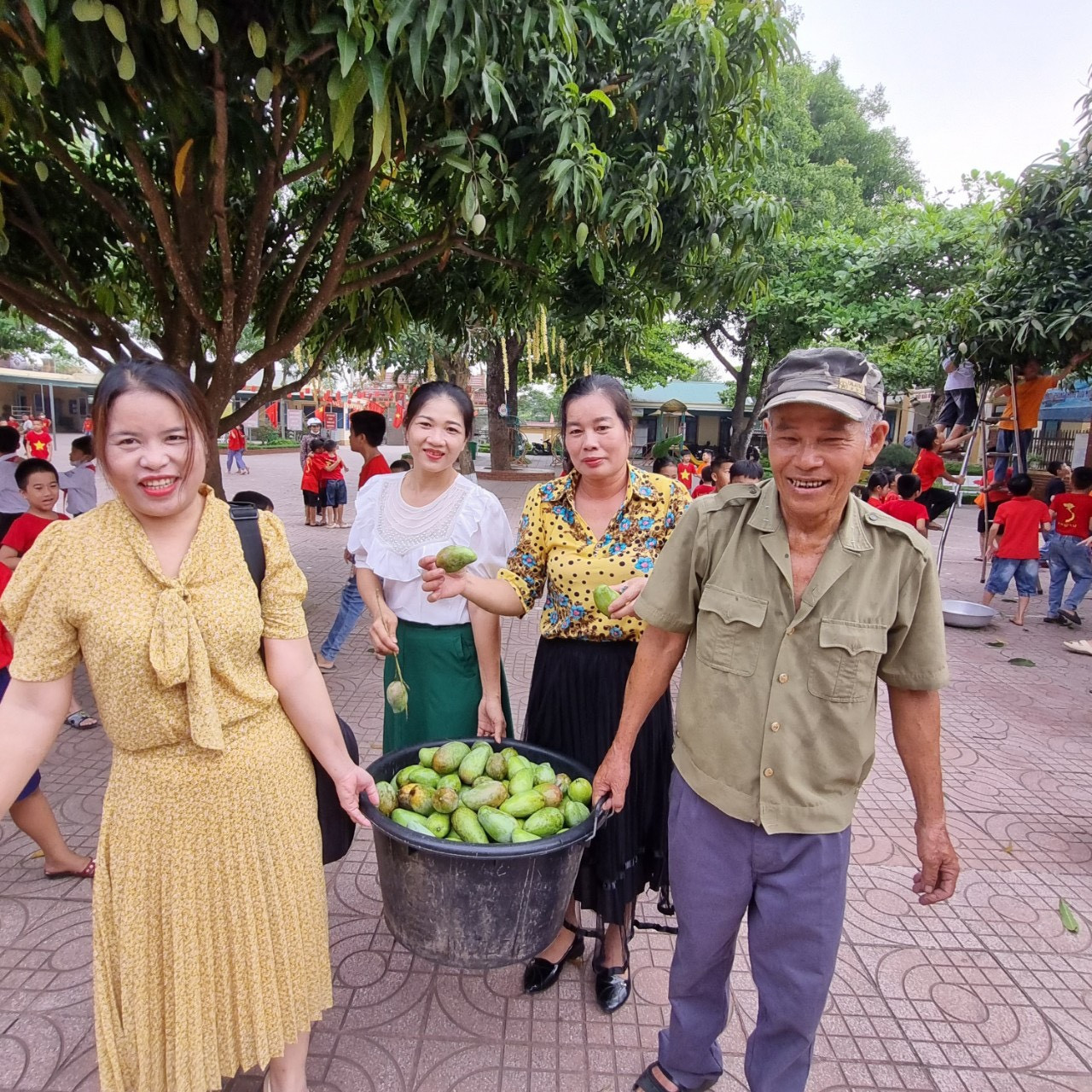 Các thầy cô giáo đã hái hơn 1000 quả xoài để tặng 500 em học sinh trong trường.