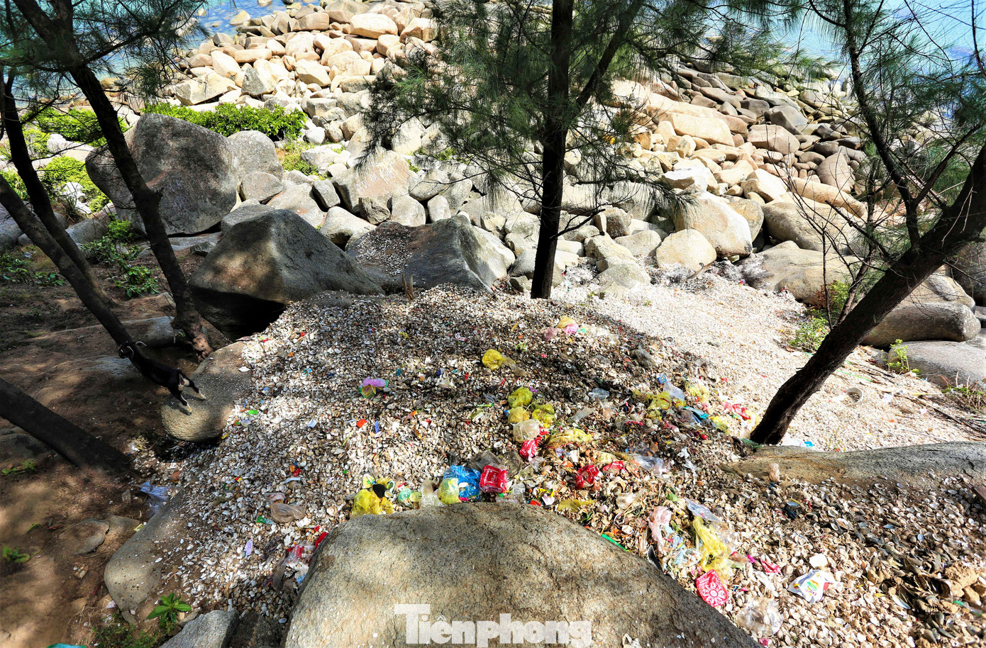 Rác thải bị vứt bừa bãi dọc tuyến đường với đủ loại, từ rác thải sinh hoạt (chai lọ, thức ăn dư thừa, túi nilon), rác thải xây dựng (gạch vụn, ngói vỡ, đất, đá) cho tới rác thải từ hoạt động đánh bắt thủy hải sản (vỏ hến, ngao, sò, hàu...).