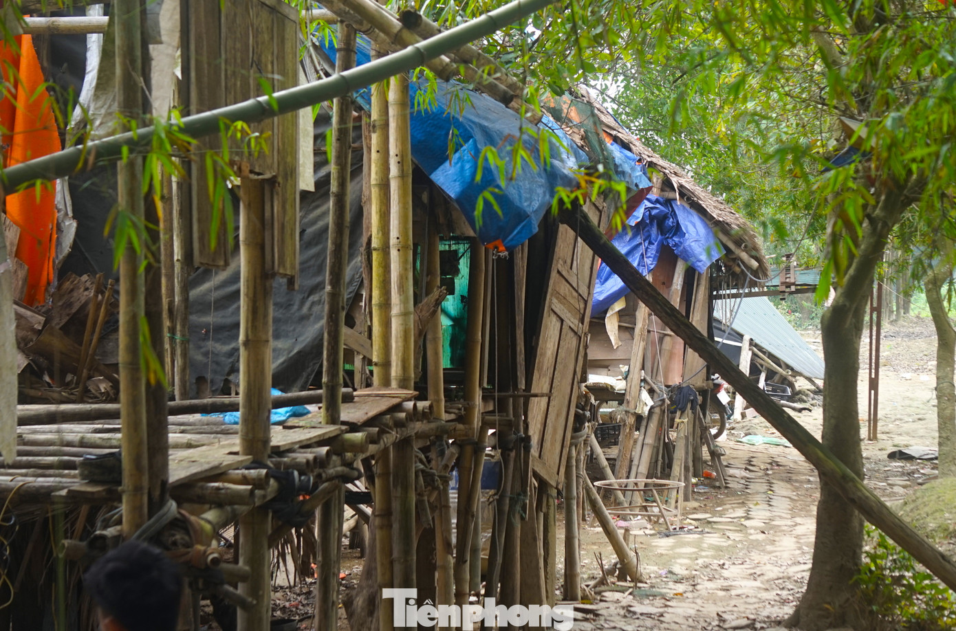 Căn nhà của ông Vựng dựng ở bãi đất hoang cạnh mép sông của phường. Trước đây do ở trên thuyền chật chội, ông Vựng và các hộ dân bèn lên bờ dựng tạm những lán chòi để ở. Đợt bão lũ lớn, nhiều hộ dân bị gió giật nhà sập nên trở về thuyền để ở. Một số hộ chưa bị sập vẫn tiếp tục nán lại trong những chiếc chòi này.