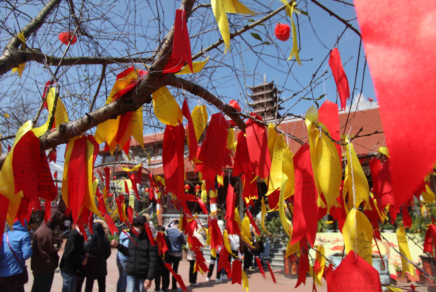 Cây đào lung linh khi được treo kín những lá sớ với ước nguyện của cả nghìn người đến chùa Đại Tuệ ngày đầu năm.