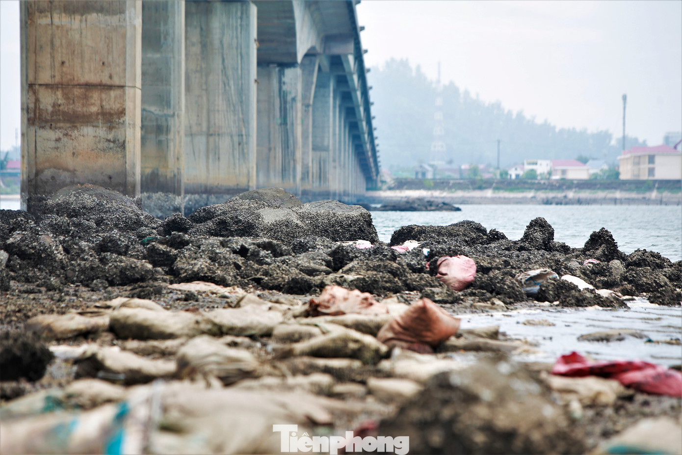 Những bãi đá cùng rác thải ngổn ngang dưới chân cầu, giữa luồng lạch khiến dòng chảy thay đổi, tàu thuyền ngư dân gặp khó khi vào neo đậu.
