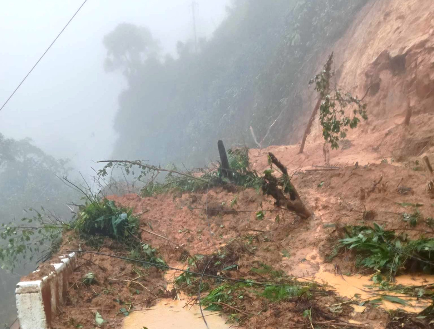 Đường tỉnh có 14 vị trí ngập (trong đó đóng đường 11 vị trí), 86 vị trí sạt lở taluy âm, taluy dương (trong đó gây tắc đường 85 vị trí).