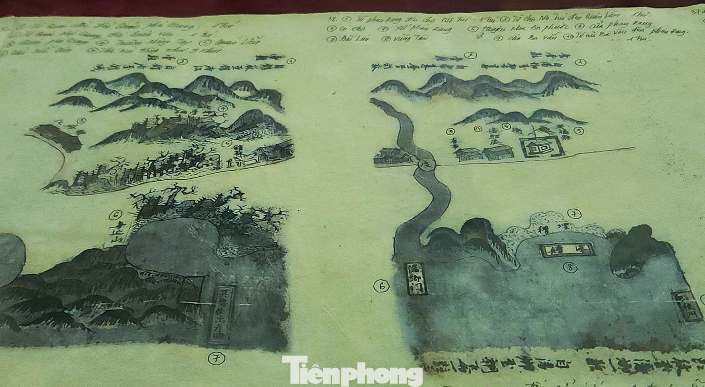 3 di sản của làng Trường Lưu gồm: Mộc bản Trường học Phúc Giang là bộ ván khắc dùng để in sách phục vụ cho việc dạy và học của dòng họ Nguyễn Huy từ thế kỷ XVIII đến thế kỷ XX tại trường học Phúc Giang; Hoàng Hoa sứ trình đồ được công nhận là bản sao duy nhất của tập sách với phần bản đồ là chính và Bộ sưu tập văn bản Hán Nôm gồm 173 tài liệu tại 14 nhà thờ các dòng họ, đình làng và 8 tư gia của làng Trường Lưu (từ cuối thế kỷ XVII đến giữa thế kỷ XX). 3 di sản của làng Trường Lưu gồm: Mộc bản Trường học Phúc Giang là bộ ván khắc dùng để in sách phục vụ cho việc dạy và học của dòng họ Nguyễn Huy từ thế kỷ XVIII đến thế kỷ XX tại trường học Phúc Giang; Hoàng Hoa sứ trình đồ được công nhận là bản sao duy nhất của tập sách với phần bản đồ là chính và Bộ sưu tập văn bản Hán Nôm gồm 173 tài liệu tại 14 nhà thờ các dòng họ, đình làng và 8 tư gia của làng Trường Lưu (từ cuối thế kỷ XVII đến giữa thế kỷ XX).