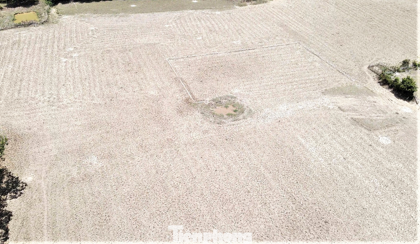 Các hồ đập trên địa bàn cũng dần khô cạn, nứt nẻ. Cây trồng cũng cháy sém vì nắng nóng. Lãnh đạo UBND huyện Hương Khê, cho biết, nắng nóng kéo dài khiến nhiều vùng sản xuất nông nghiệp của người dân bị thiếu nước. Các vùng trồng cam, bưởi cũng bị ảnh hưởng lớn, sản lượng giảm sút.