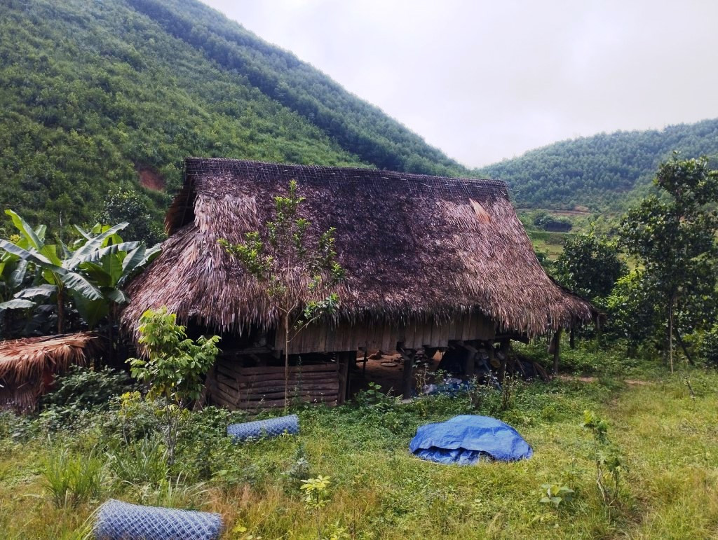 Lán trại đối tượng Dũng dùng để ẩn náu và mua bán ma túy Lán trại đối tượng Dũng dùng để ẩn náu và mua bán ma túy