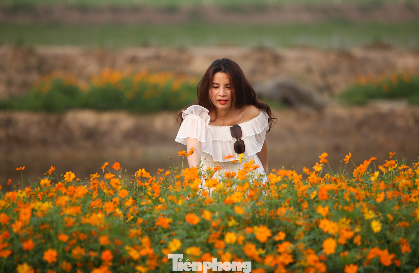 Ông Nguyễn Sông Hàn, Chủ tịch UBND xã Thạch Hạ (TP Hà Tĩnh) cho biết, đây là mô hình thí điểm được thành phố chỉ đạo, lên kế hoạch xây dựng để kết hợp phát triển nông nghiệp, nuôi trồng thủy hải sản và dịch vụ trải nghiệm. "Dù mới thí điểm song bước đầu mô hình nông nghiệp sinh thái này đã cho thấy vẻ đẹp và sự khả quan. Về lâu dài khi mô hình thí điểm đạt hiệu quả như mong đợi sẽ tiếp tục xây dựng các khu vực khác", ông nói.