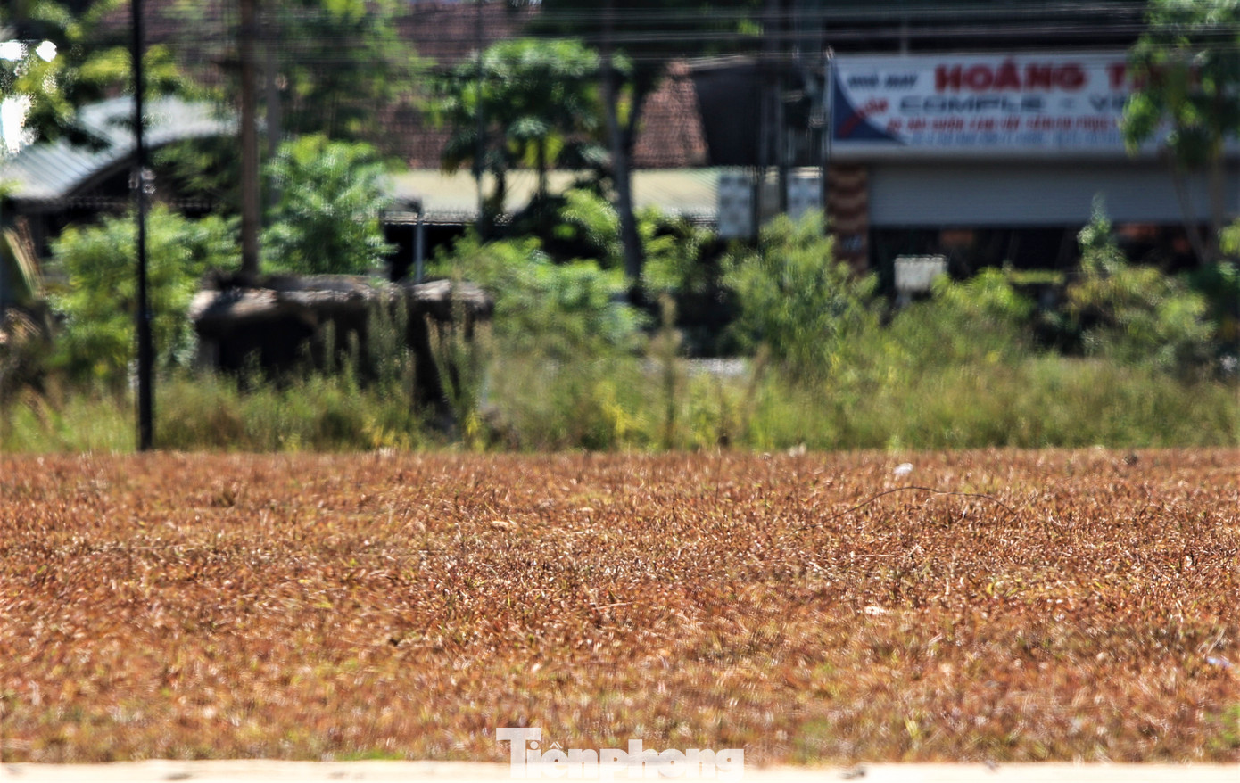 Các hồ đập trên địa bàn cũng dần khô cạn, nứt nẻ. Cây trồng cũng cháy sém vì nắng nóng. Lãnh đạo UBND huyện Hương Khê, cho biết, nắng nóng kéo dài khiến nhiều vùng sản xuất nông nghiệp của người dân bị thiếu nước. Các vùng trồng cam, bưởi cũng bị ảnh hưởng lớn, sản lượng giảm sút.