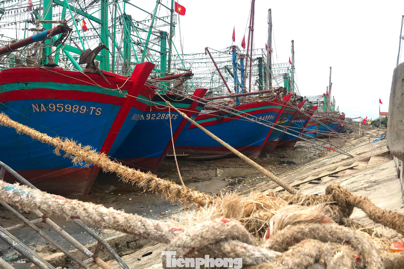 Tại khu neo đậu tàu cá Lạch Vạn (huyện Diễn Châu, Nghệ An) mùa này vẫn khá im ắng, không còn cảnh tàu ra, tàu vào tấp nập như trước. Ông Nguyễn Viết Mãn - Chủ tịch UBND xã Diễn Bích (huyện Diễn Châu) cho hay, người dân địa phương không có ruộng vườn, đời sống phụ thuộc chủ yếu vào nghề đánh cá và làm muối. Lâu nay ruộng muối hầu như bị bỏ hoang, nghề đánh bắt những năm gần đây cũng liên tục thua lỗ khiến cuộc sống người dân gặp nhiều khó khăn. Tại khu neo đậu tàu cá Lạch Vạn (huyện Diễn Châu, Nghệ An) mùa này vẫn khá im ắng, không còn cảnh tàu ra, tàu vào tấp nập như trước. Ông Nguyễn Viết Mãn - Chủ tịch UBND xã Diễn Bích (huyện Diễn Châu) cho hay, người dân địa phương không có ruộng vườn, đời sống phụ thuộc chủ yếu vào nghề đánh cá và làm muối. Lâu nay ruộng muối hầu như bị bỏ hoang, nghề đánh bắt những năm gần đây cũng liên tục thua lỗ khiến cuộc sống người dân gặp nhiều khó khăn.